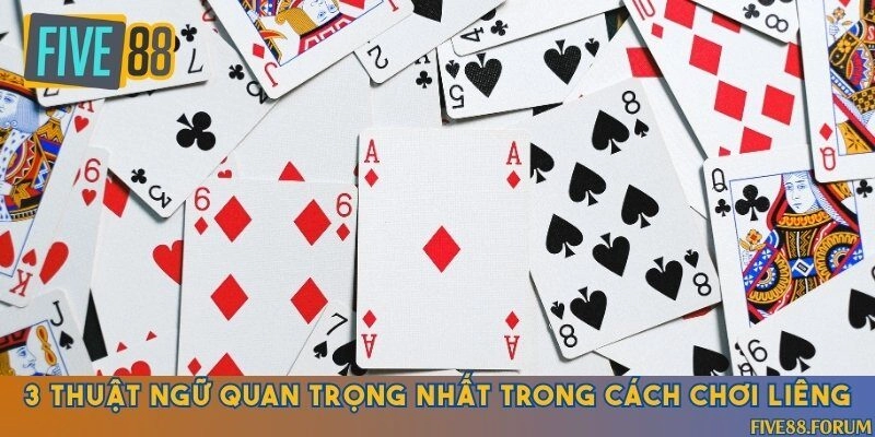 Tập nhận biết những thuật ngữ ai cũng cần nhớ khi chơi Liêng