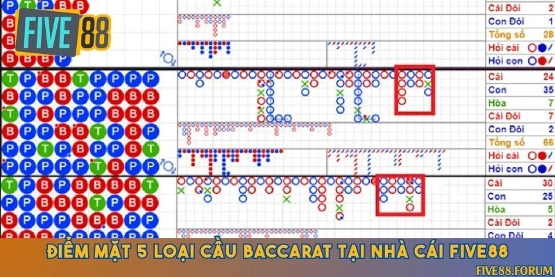 Điểm danh những loại cầu thường gặp