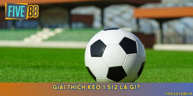 Khám phá sự độc đáo của kèo bóng đá 1.5/2