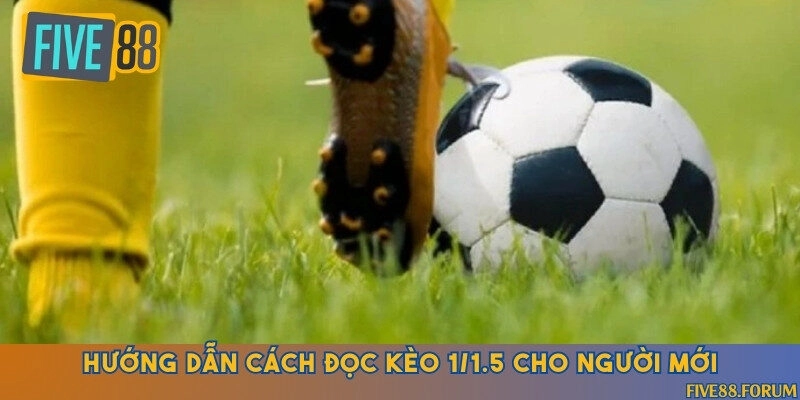 Cẩm nang đọc kèo 1/1.5 đầy đủ cho tài xỉu và cược chấp